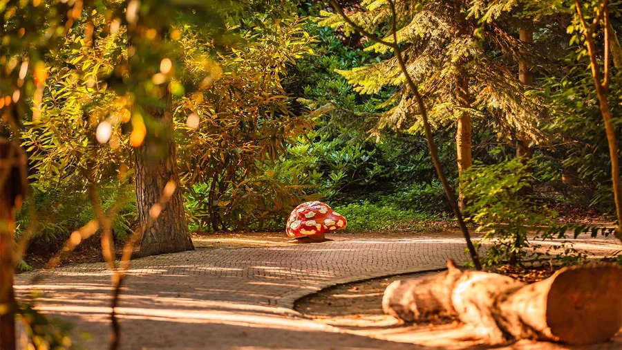 Champignon du Bois des Contes — Efteling