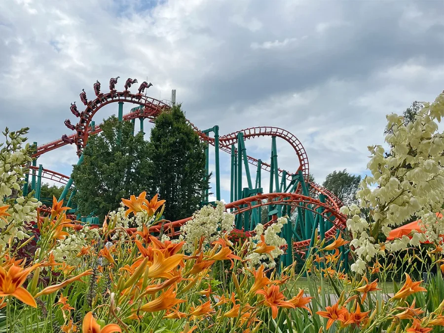 Condor — Walibi Holland