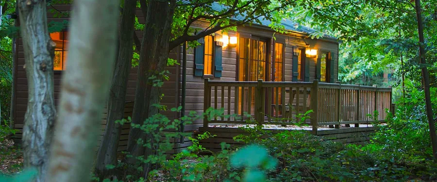 Disney Davy Crockett Ranch — Disney Davy Crockett Ranch