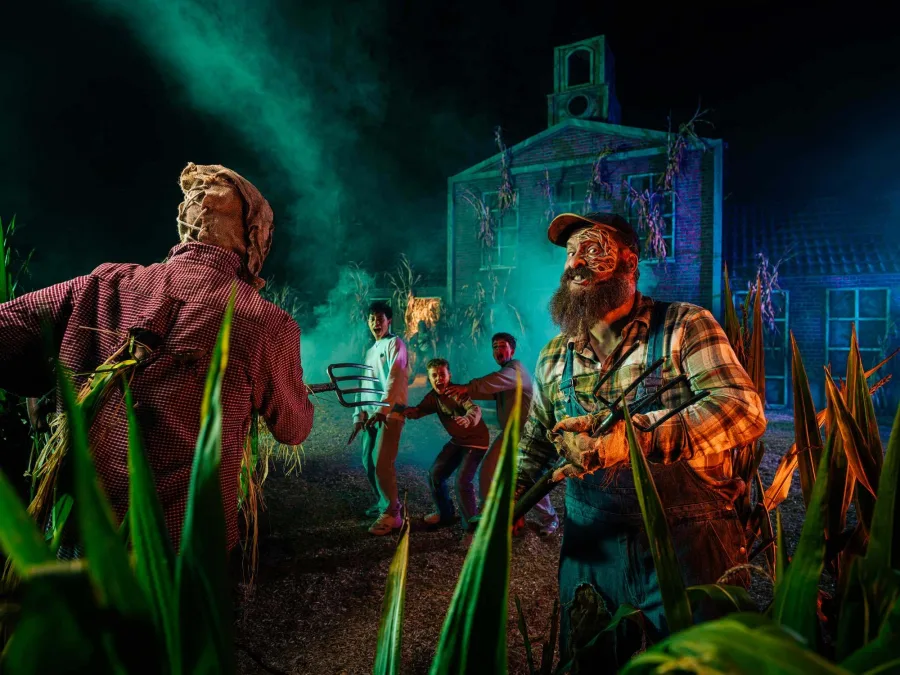 Entwined: The Maze — Toverland