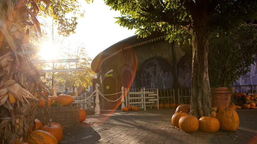 Koffiekopjes — Europa-Park