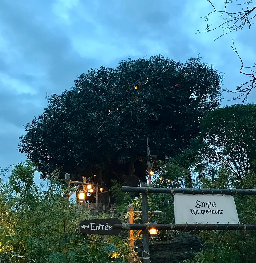 La Cabane des Robinson — Parc Disneyland