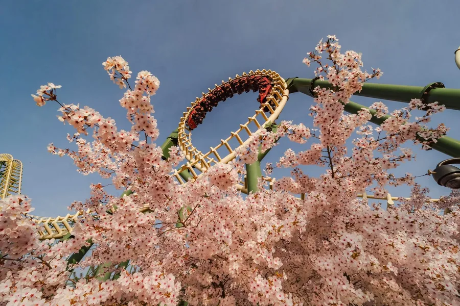 Python — Efteling