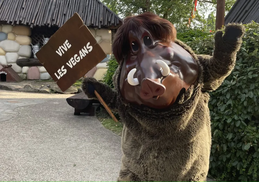 Sanglier — Parc Astérix