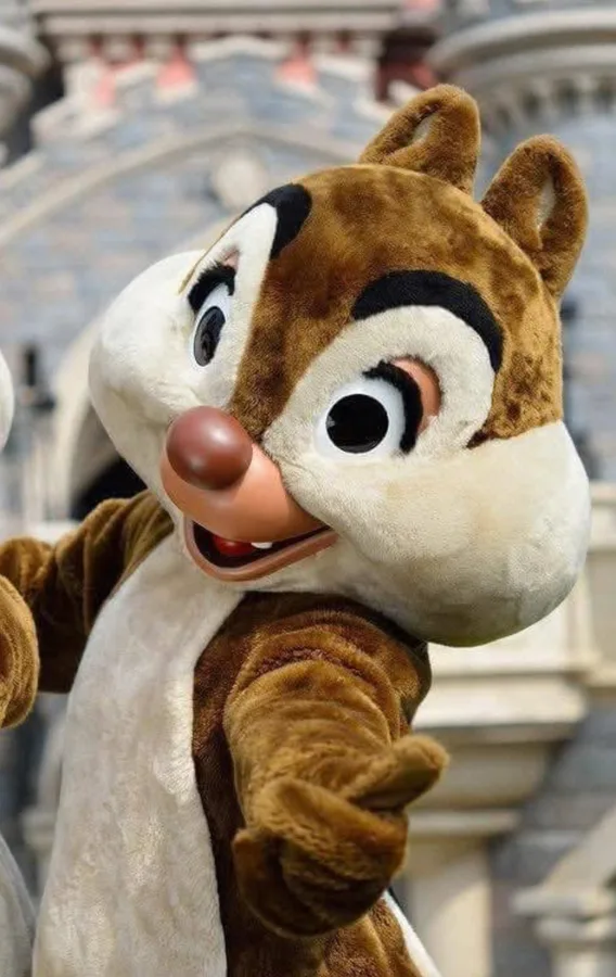 Tac — Parc Disneyland
