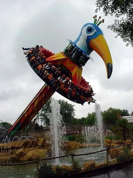 Tang Or — Walygator Grand Est