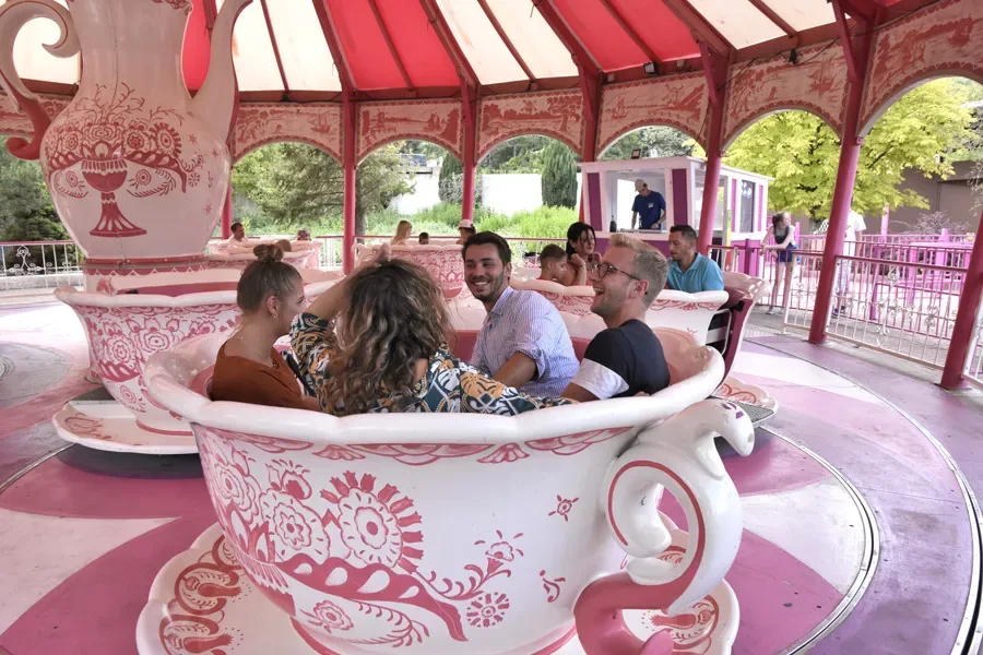 Tea Cup — Walygator Grand Est