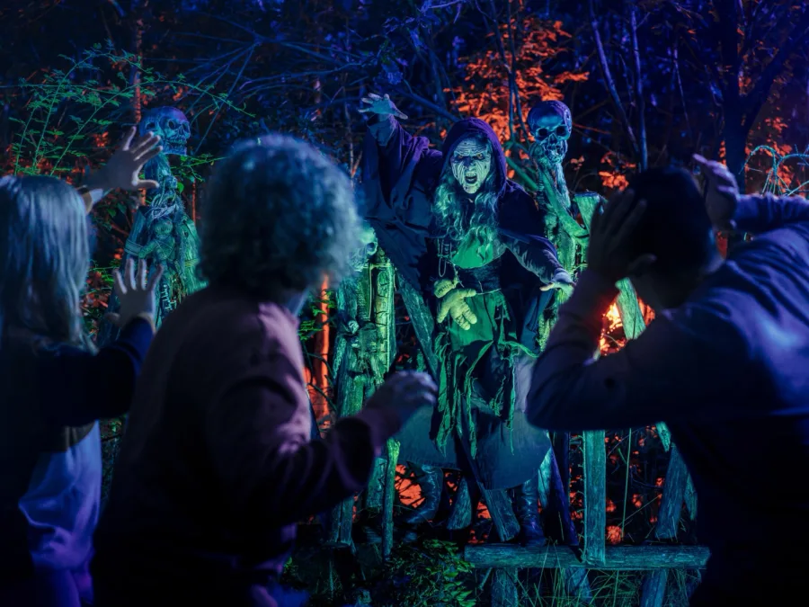 The Witches Forest — Toverland