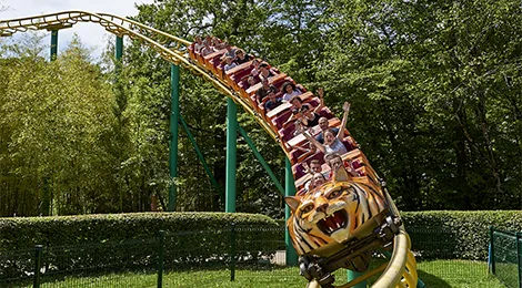Tigre de Sibérie — Le PAL