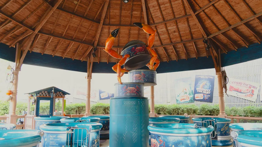 Tous en Boîte — Walibi Belgium