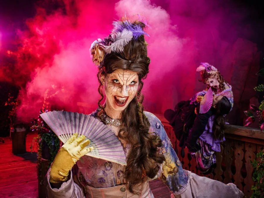 Unmasked: Waltzthrough — Toverland